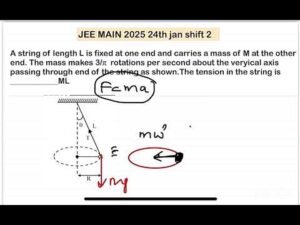 JEE MAIN 2025(24jan shift2)A string of length L is fixed at one end and carries a mass of M at the o