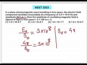 NEET 2023:In a plane electromagnetic wave travelling in free space, the electric field component